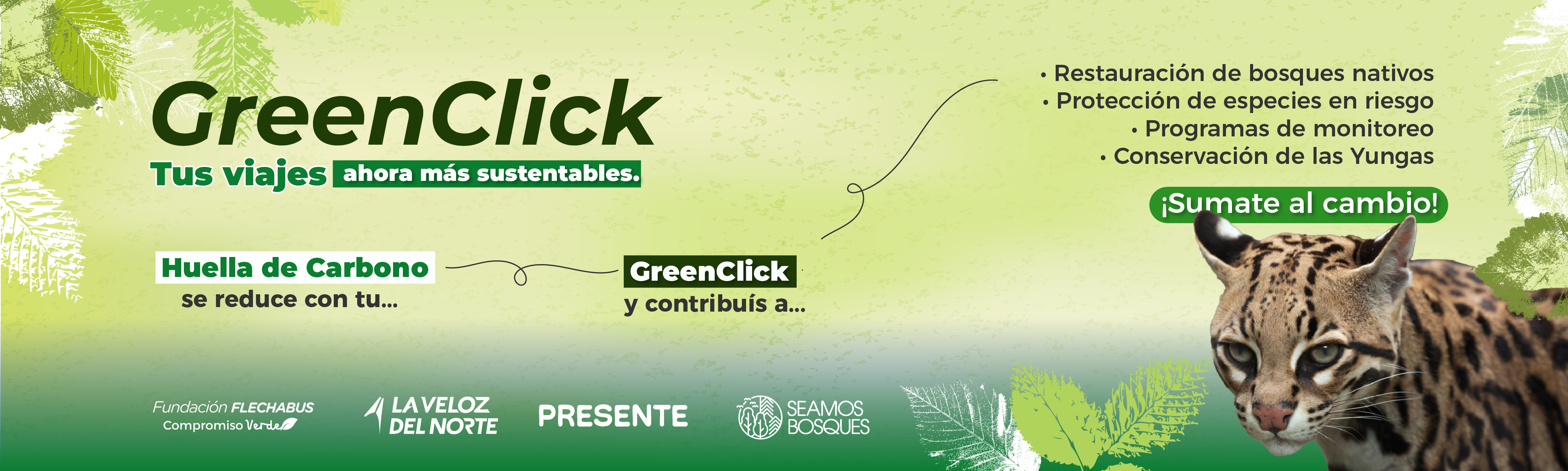 Descripción imagen desktop