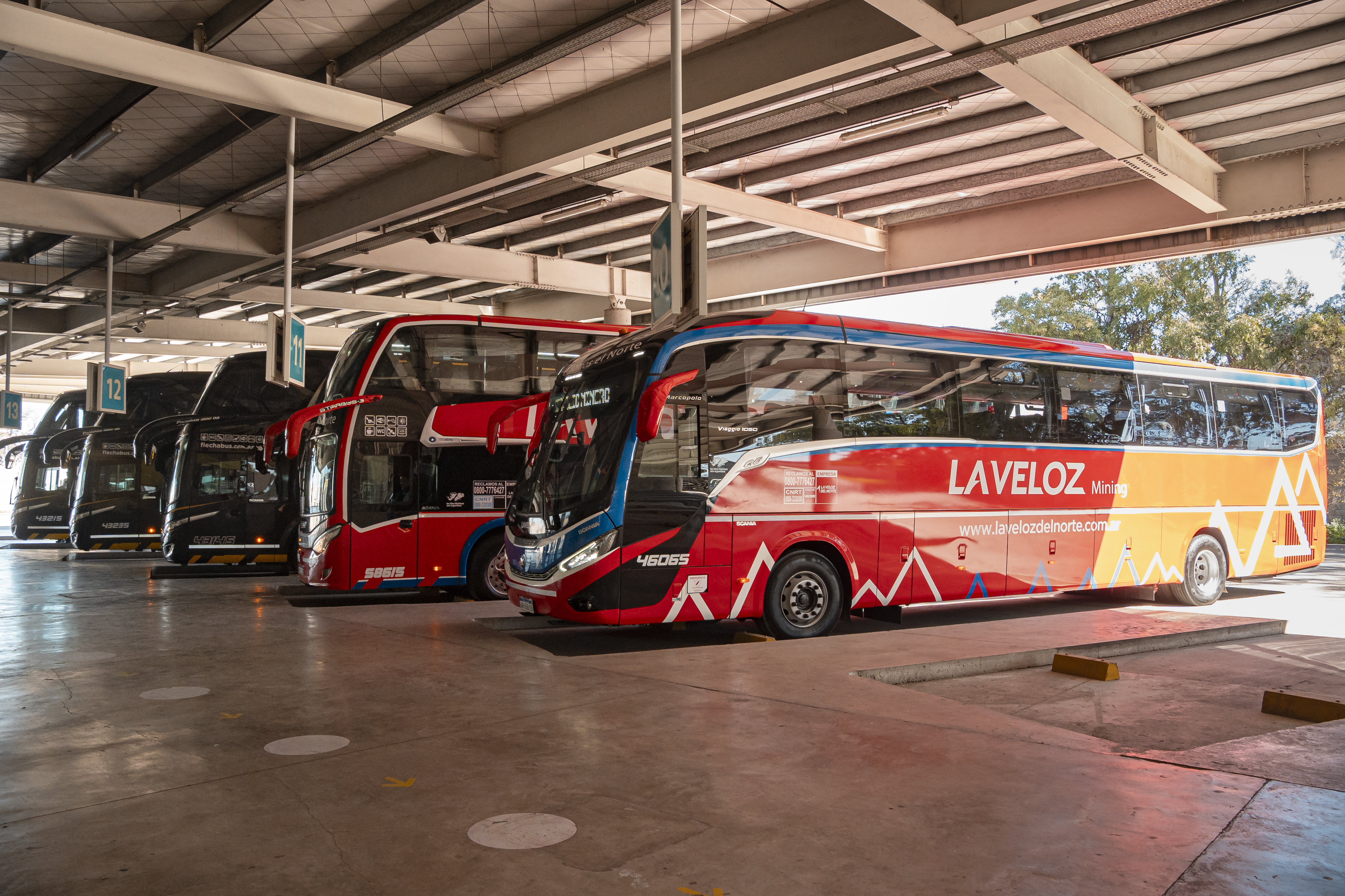 La Veloz del Norte alquiler de bus