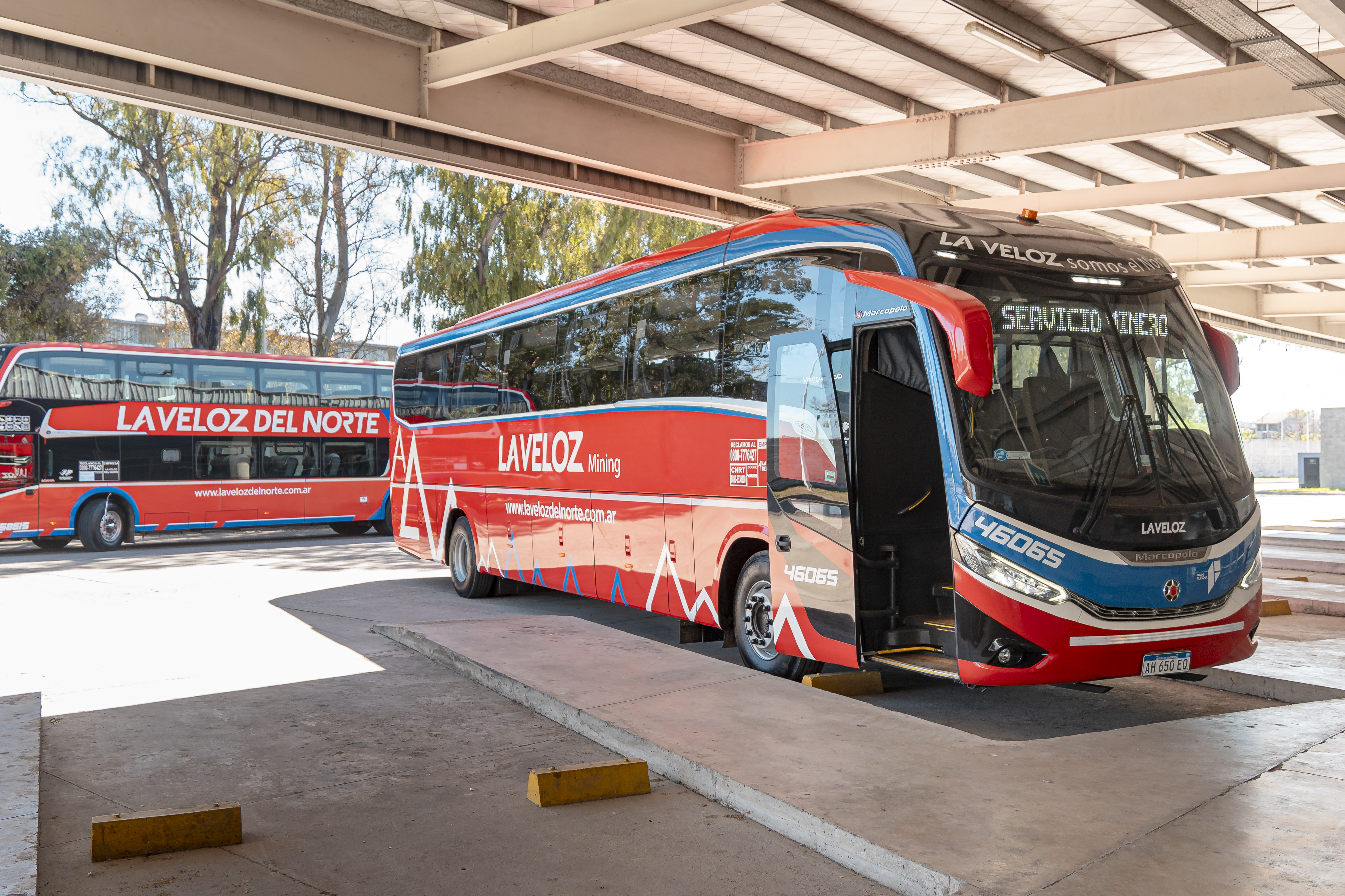 La Veloz del Norte alquiler de bus